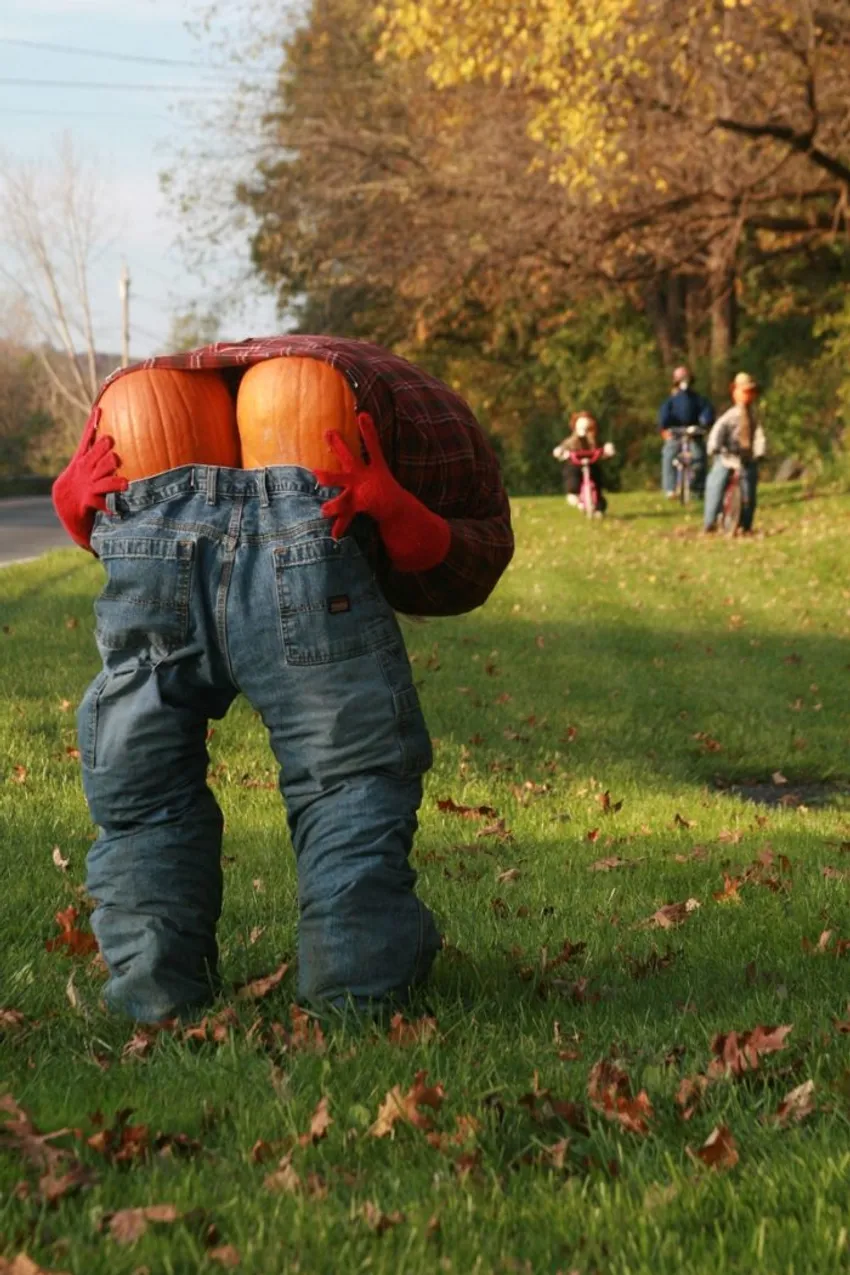 pumpkin person, jeans, Halloween pumpkin display, funny pumpkin decoration, autumn yard, bicyclists