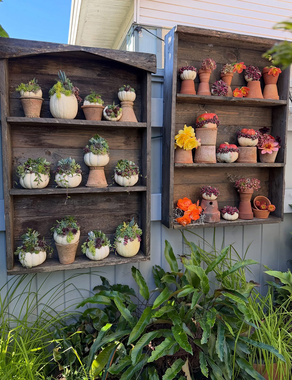 DIY auricula theater, pallet wood display, fall pumpkins, gourds, garden display, autumn decor
