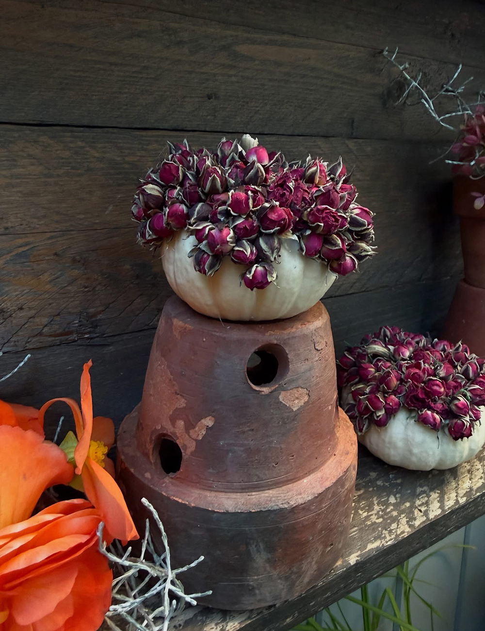 white pumpkin, Chinese tea rosebuds, botanical pumpkin decoration, dried flowers, fall garden display