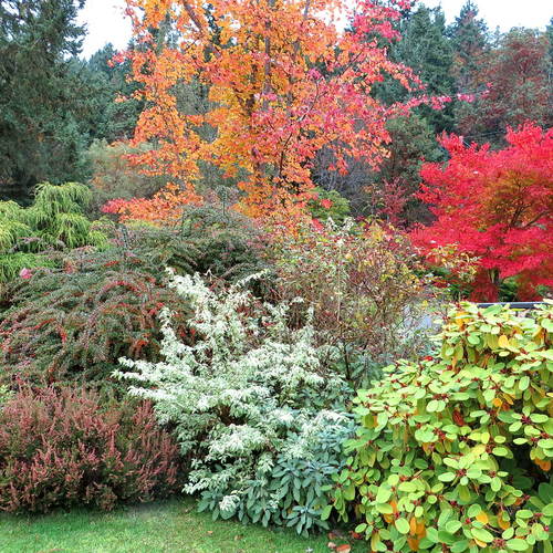 Fall in May's garden in British Columbia - Fine Gardening