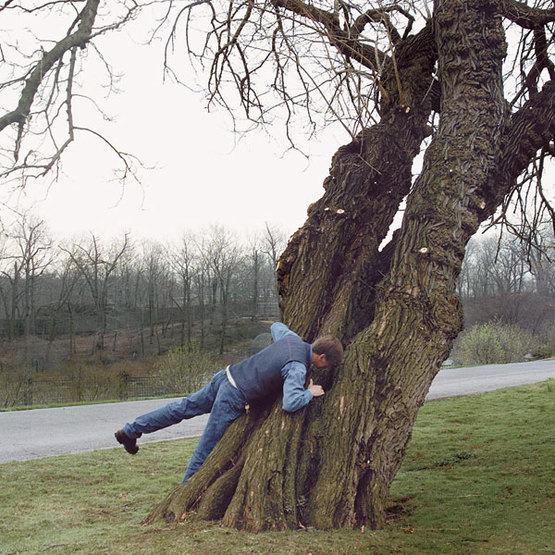 man leaning over and looking into tree