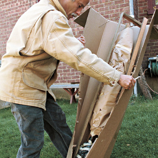 Man unpacking the bareroot tree from the box