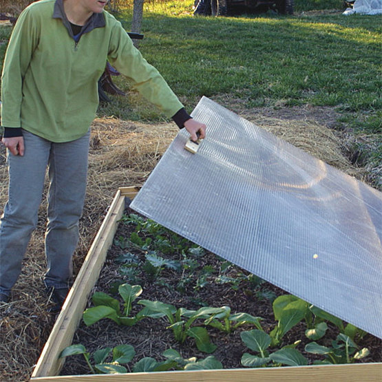 Person lifting cold frame cover