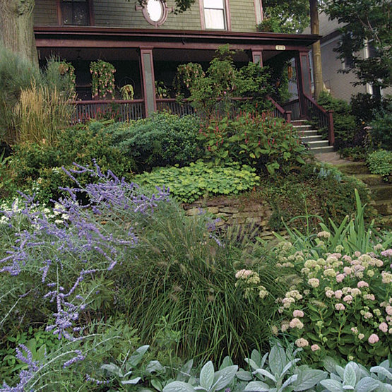 silvery moss green house with burgundy trim with garden in front