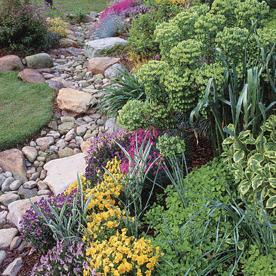 A dry streambed lined with water-worn stones and edged with eye-catching plantings.