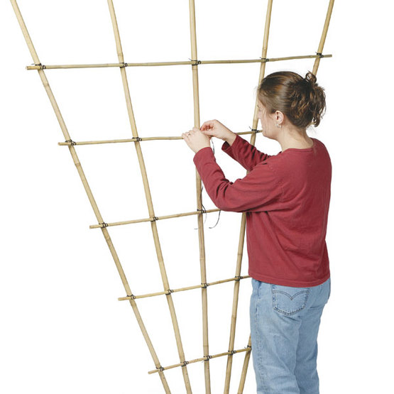 Woman putting together a bamboo trellis