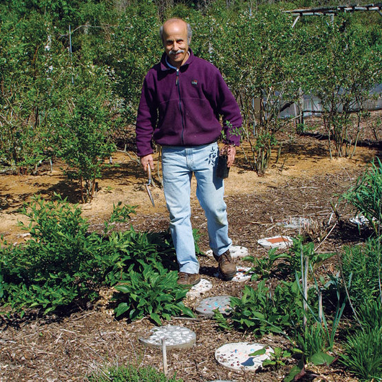 getting ready to till the soil in the garden