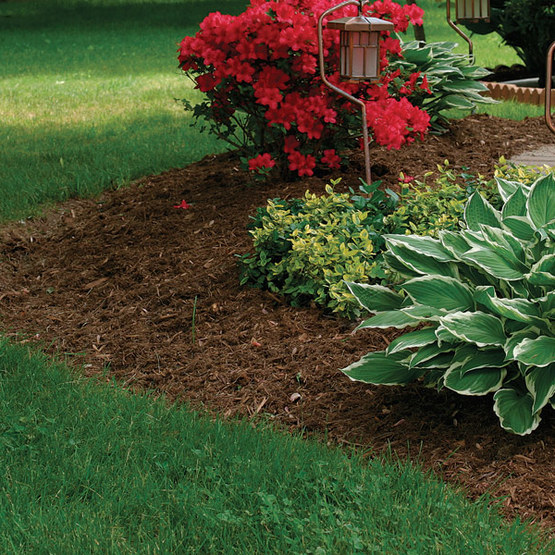 Can I Use Wood Chip Mulch From a Tree Service?