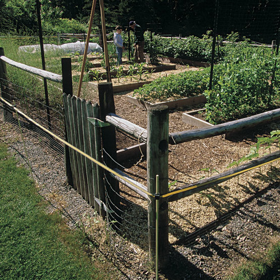 vegetable garden fence deer