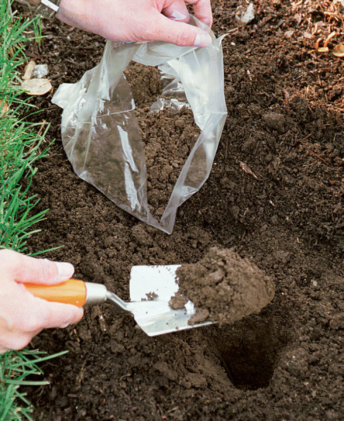 Collecting soil in a bag with a trowel