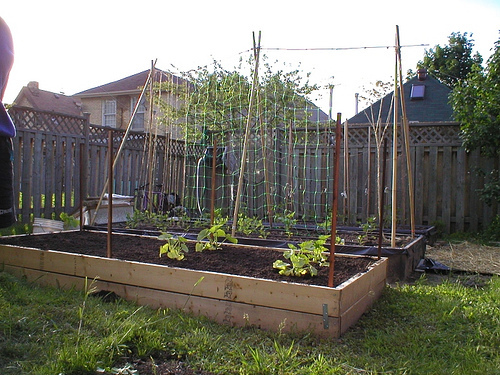 raised garden bed