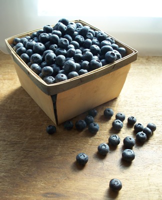 Baskets of Blueberries in Colorado? - FineGardening