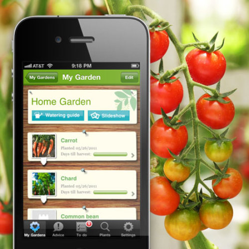 Gardroid - Vegetable Garden – Apps no Google Play