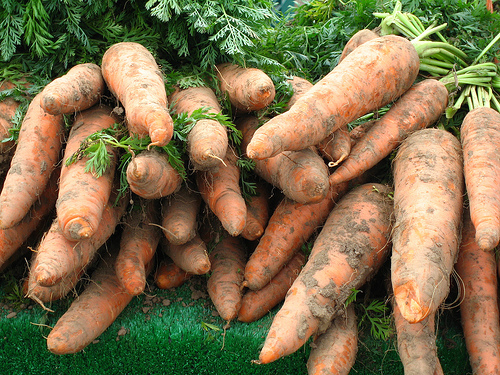 The Groundfridge Gets Back to the Roots of Food Storage