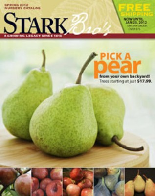 Comice Pear Tree - Stark Bro's