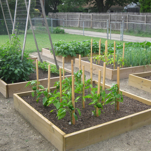 Veggie Garden Planning Tips - FineGardening