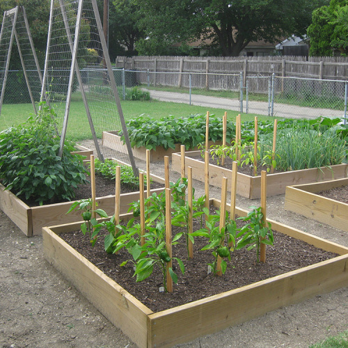 drip irrigation raised bed