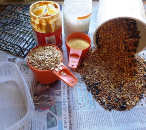 Birds Are Wild For Homemade Suet