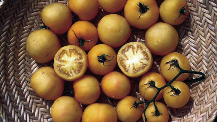 How to Grow Beefsteak Tomatoes - FineGardening